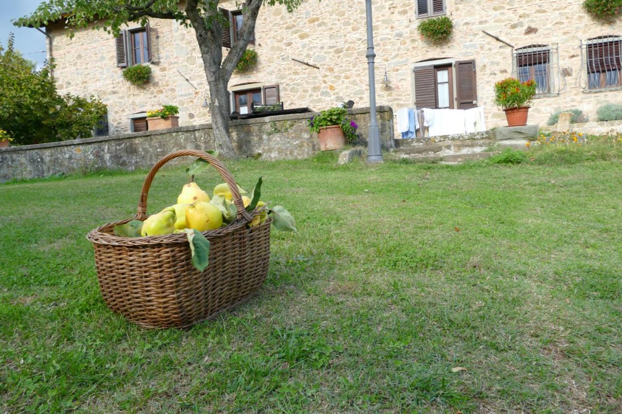agriturismo braccicorti Pieve Fosciana Esterno foto