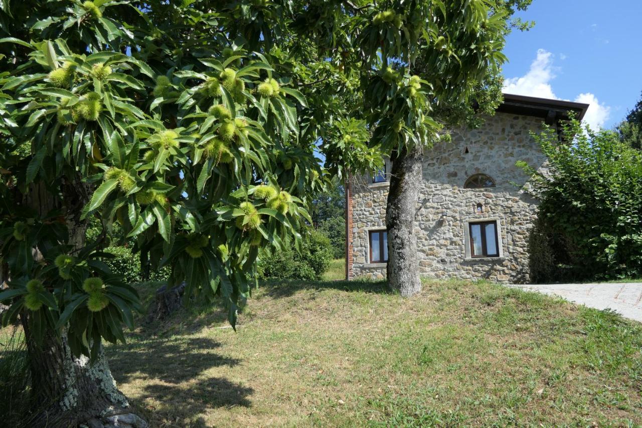 agriturismo braccicorti Pieve Fosciana Esterno foto