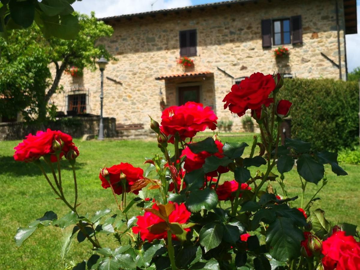 agriturismo braccicorti Pieve Fosciana Esterno foto