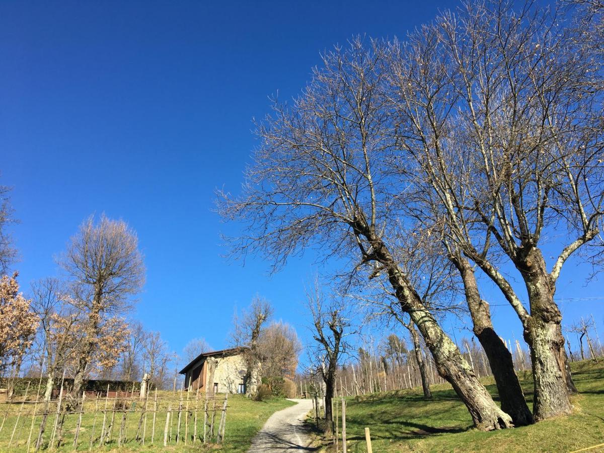 agriturismo braccicorti Pieve Fosciana Esterno foto